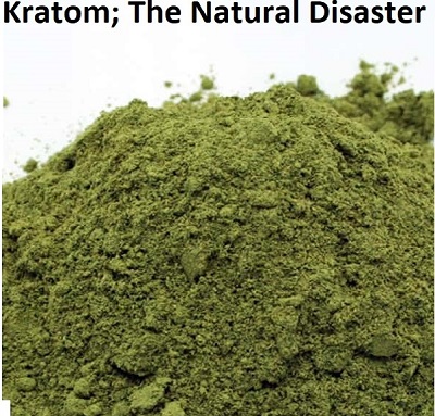 Kratom; The Natural Disaster By: Dr. Michael Harbison MS, MCS-P, CCCPC